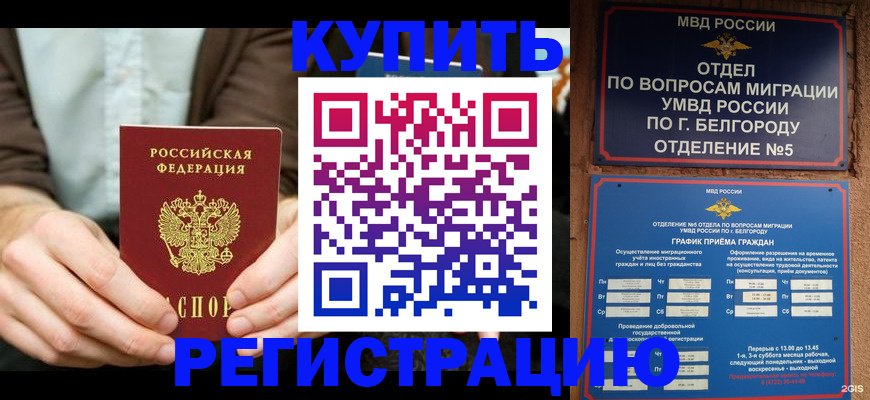 прописка 2025 в Киришах